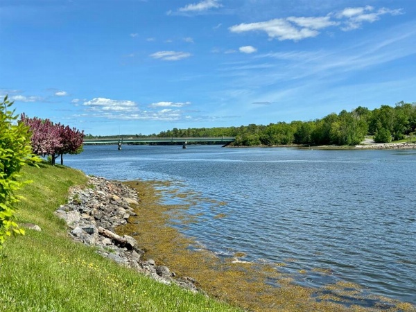 Fort Knox Inn image 15