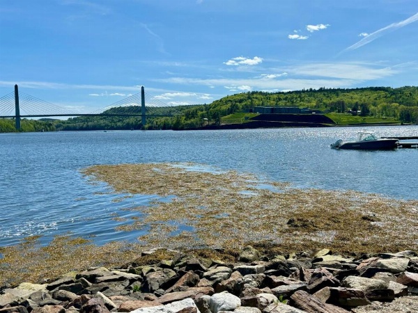 Fort Knox Inn image 26